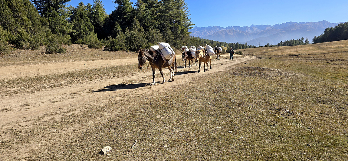 आजका तस्बिर- मंसिर १३