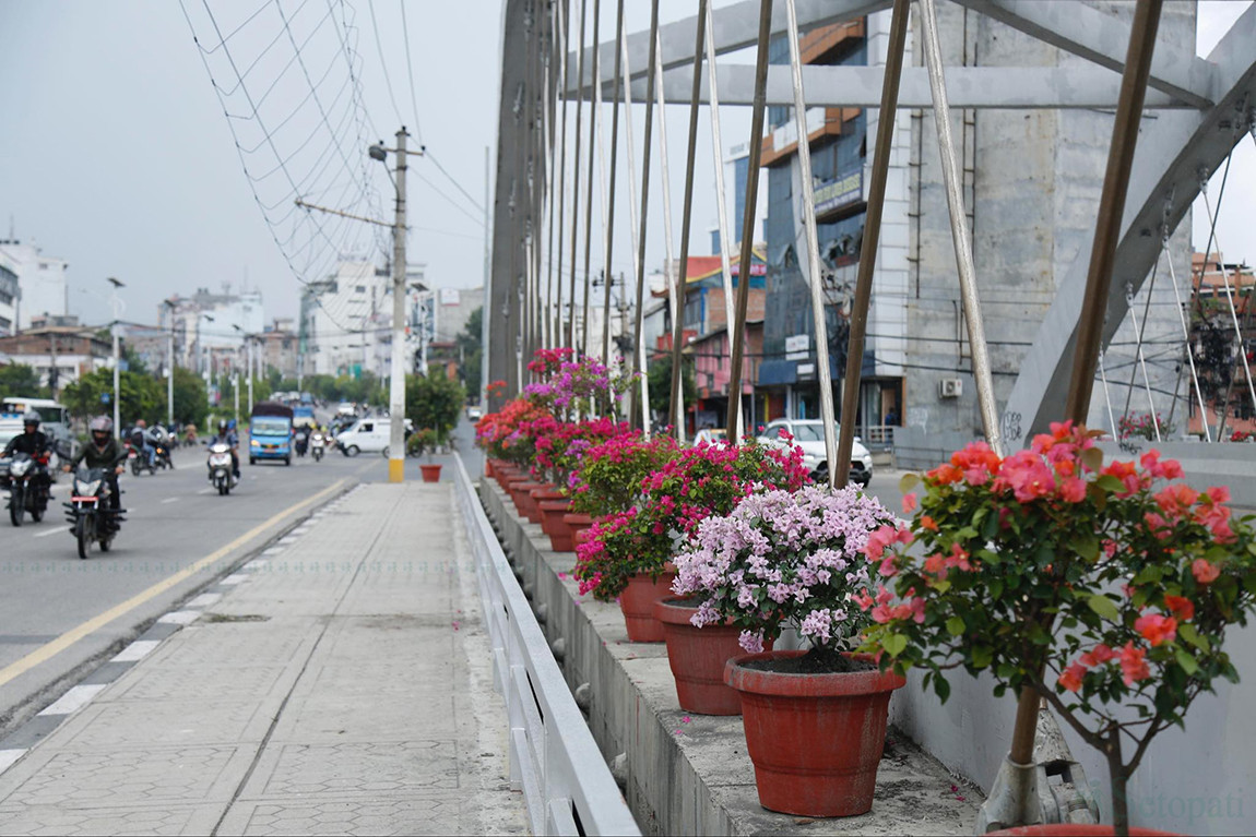 आजका तस्बिर- असार १८