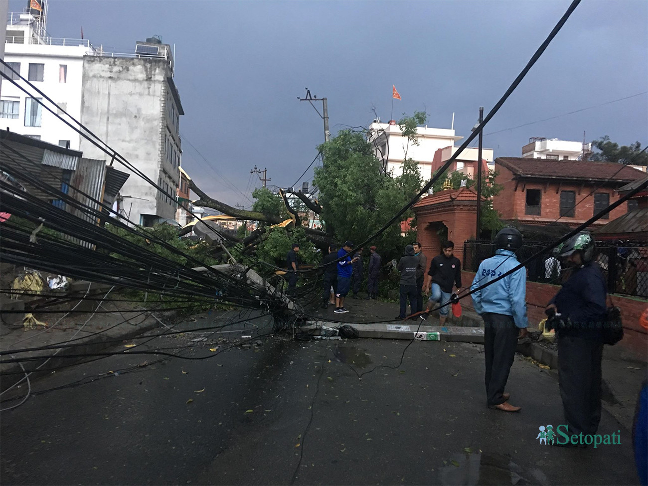 वैशाख ६ गते आएको हावाहुरी र पानीका कारण झम्सिखेलमा ढलेको रूख। तस्बिरः सेतोपाटी