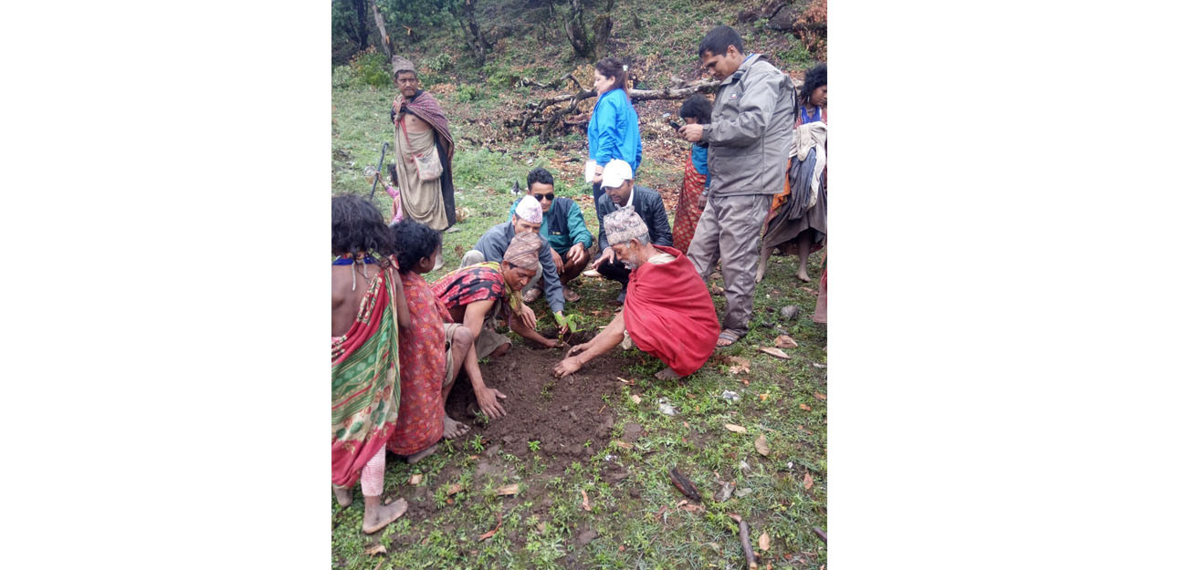 प्रधानमन्त्री रोजगार कार्यक्रममा आवद्ध भएपछि बिरुवा रोप्दै राउटेहरू। तस्वीरः दिपकजंग शाही/सेतोपाटी