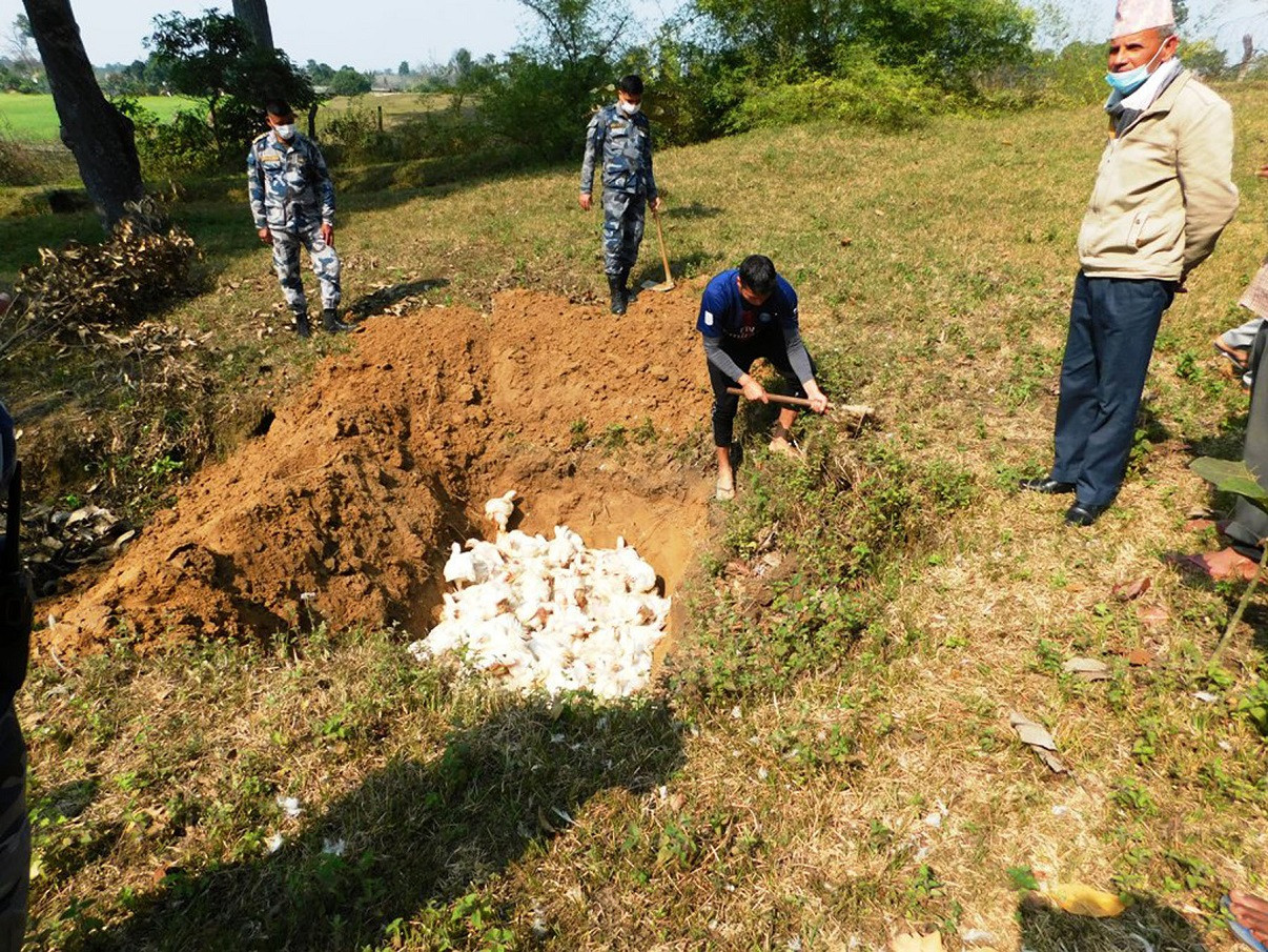 फाइल तस्बिर।