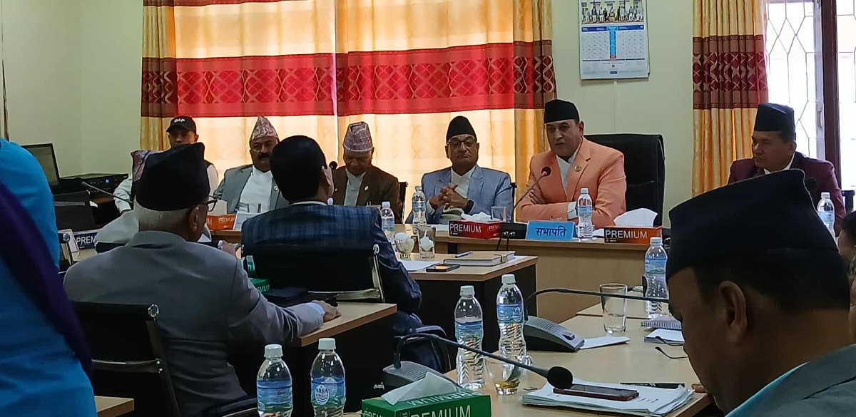 तस्बिर: सेतोपाटी।