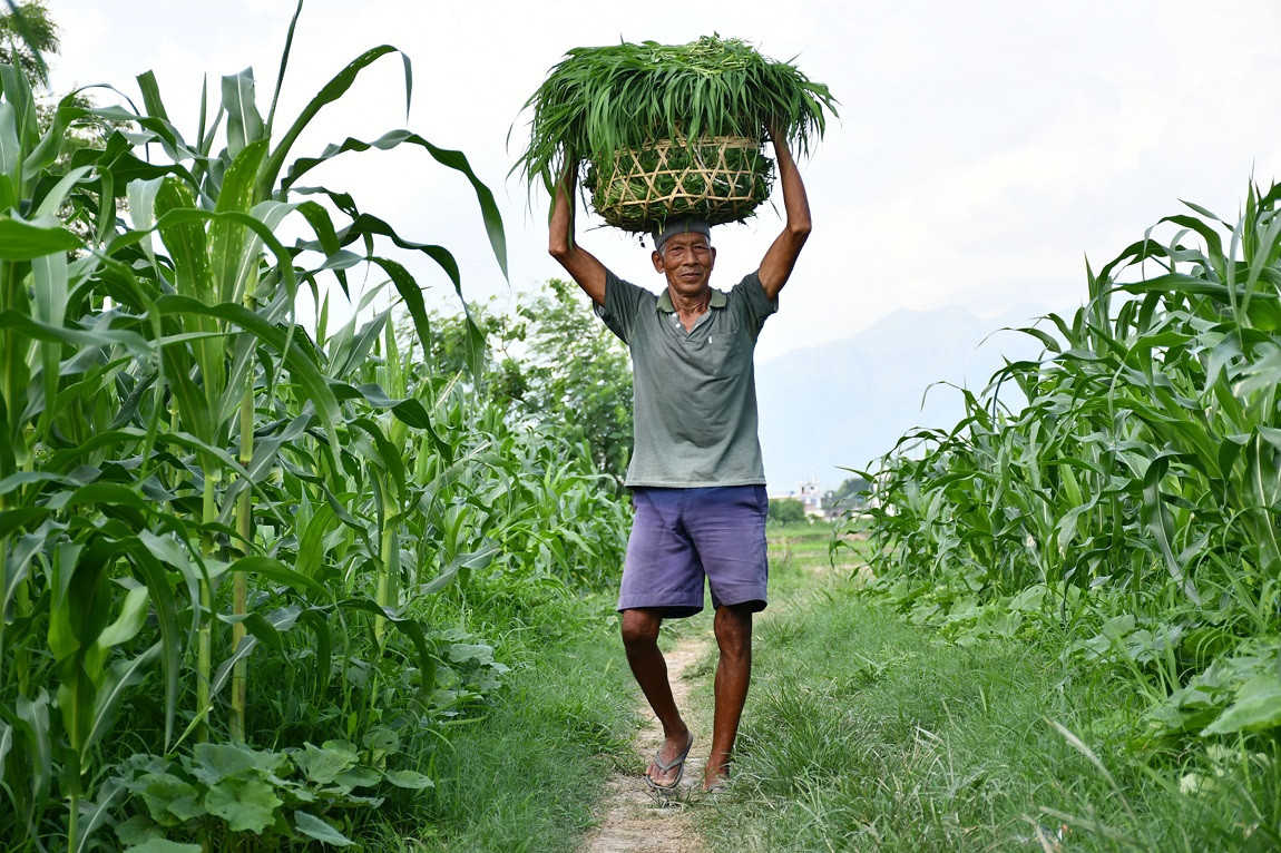 आजका तस्बिर: साउन २१