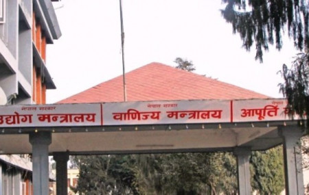 फाइल