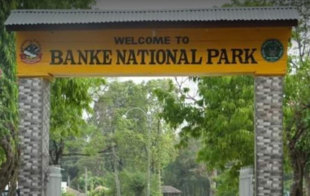 फाइल।