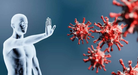 संक्रमण देख्नेबित्तिकै काम गर्न थाल्छ हाम्रो 'इम्युन सिस्टम' ले