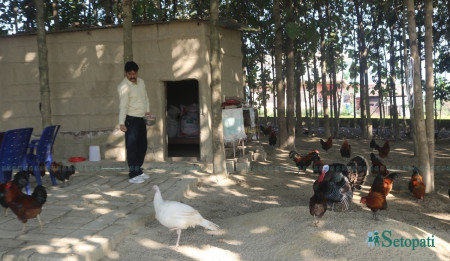 बर्सेनि बेच्छन् हजार वटा बदिया, गर्छन् ३५ लाखभन्दा बढी आम्दानी