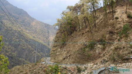 फाइल तस्बिर।