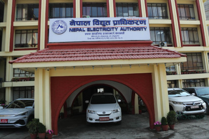 फाइल तस्बिर।