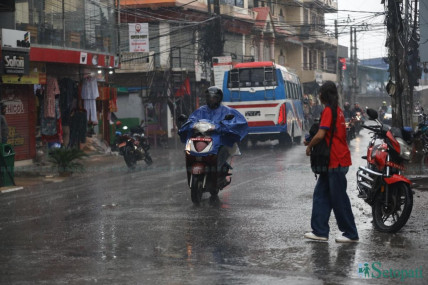 फाइल तस्बिर।