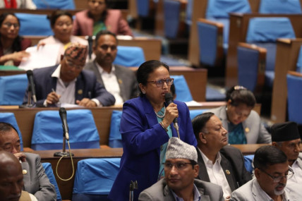 फाइल तस्बिर।
