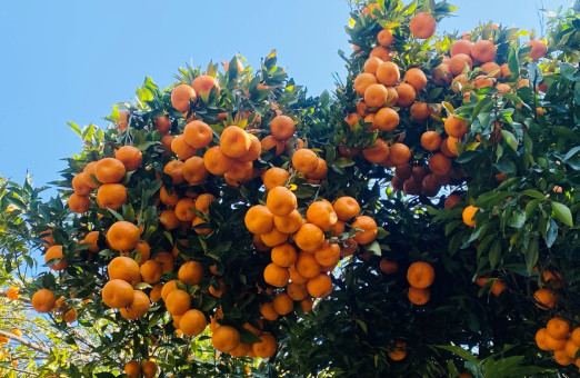 फाइल तस्बिर।