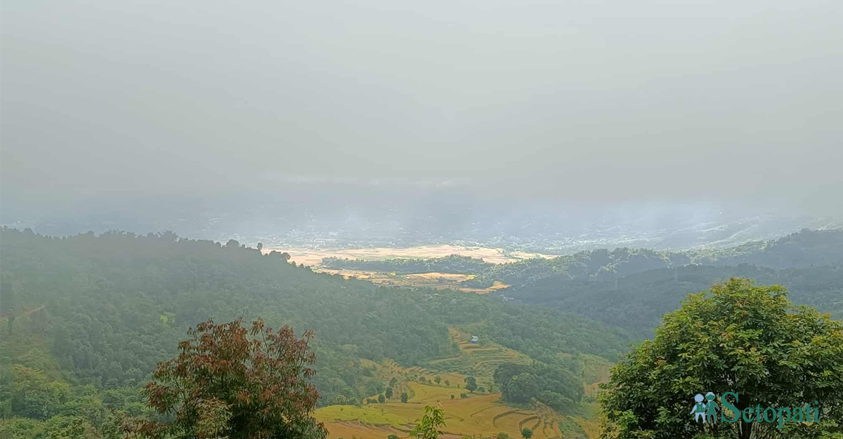 आजका तस्बिर- कात्तिक १६