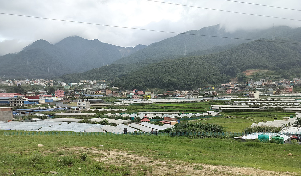 आजका तस्बिर- असार २५