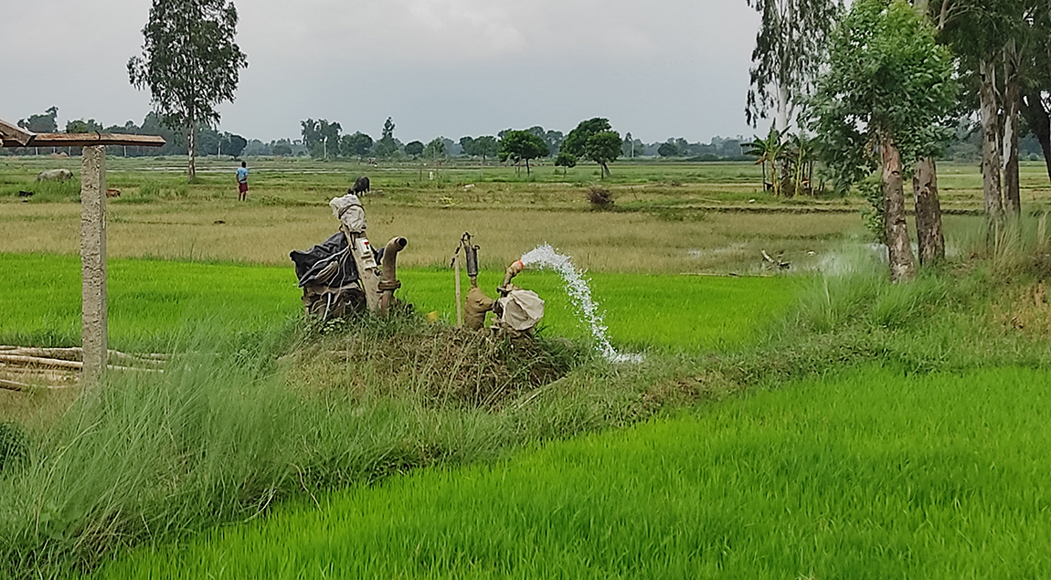 आजका तस्बिर- साउन १