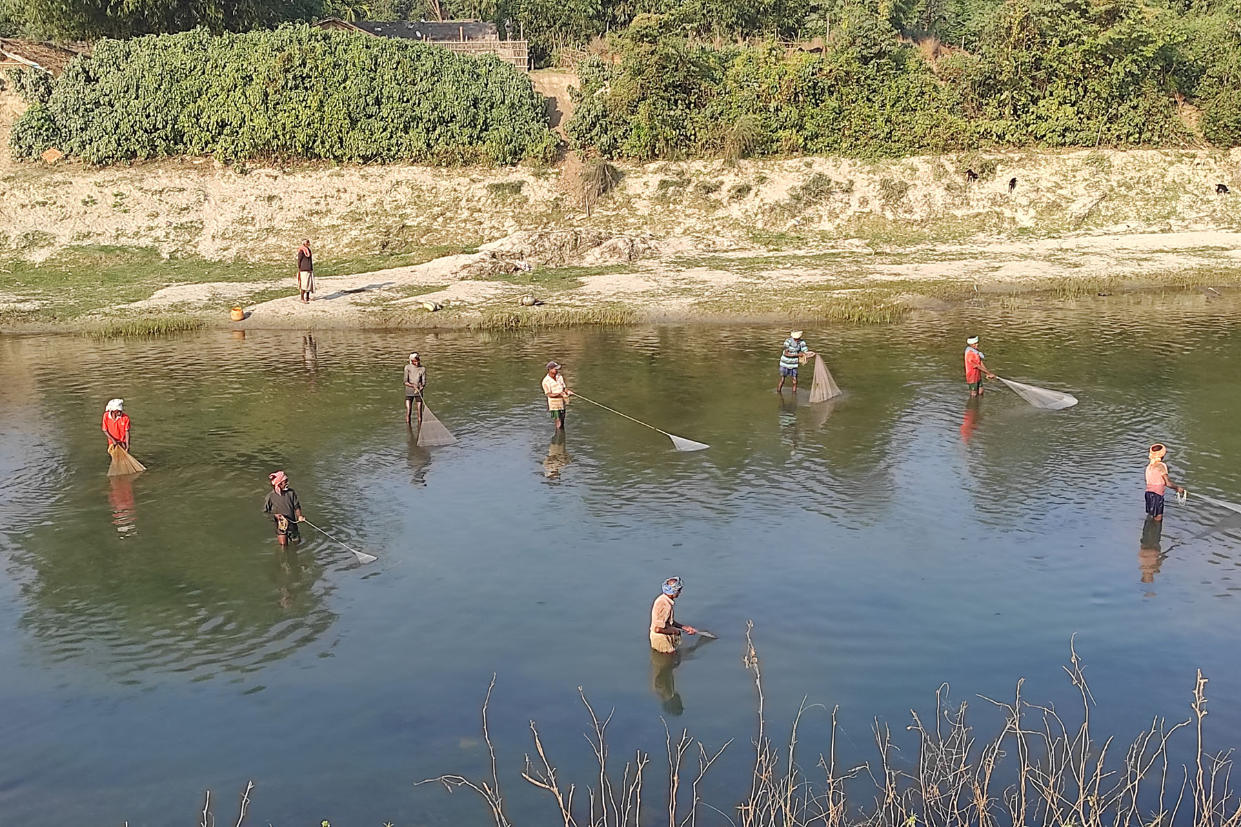 आजका तस्बिर- पुस ८