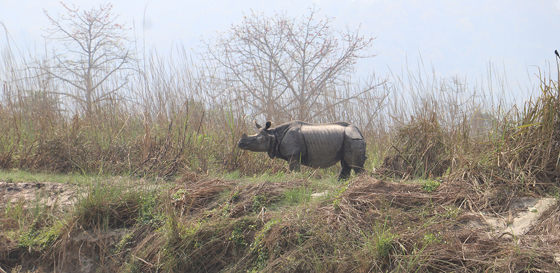 आजका तस्बिर- चैत १३