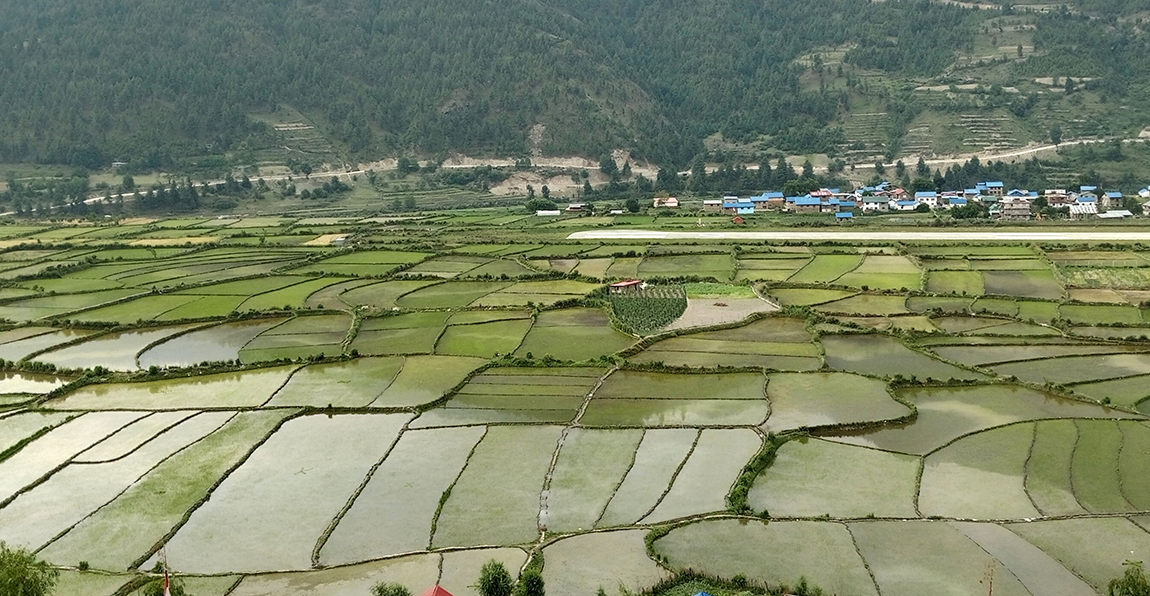 आजका तस्बिर- असार ९