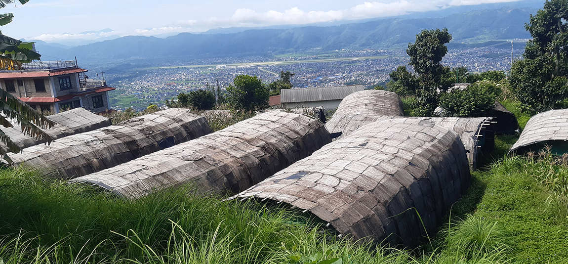 आजका तस्बिर- साउन ८