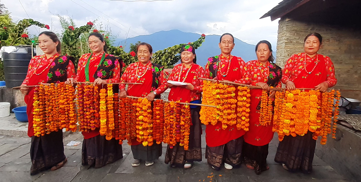 आजका तस्बिर- मंसिर १०