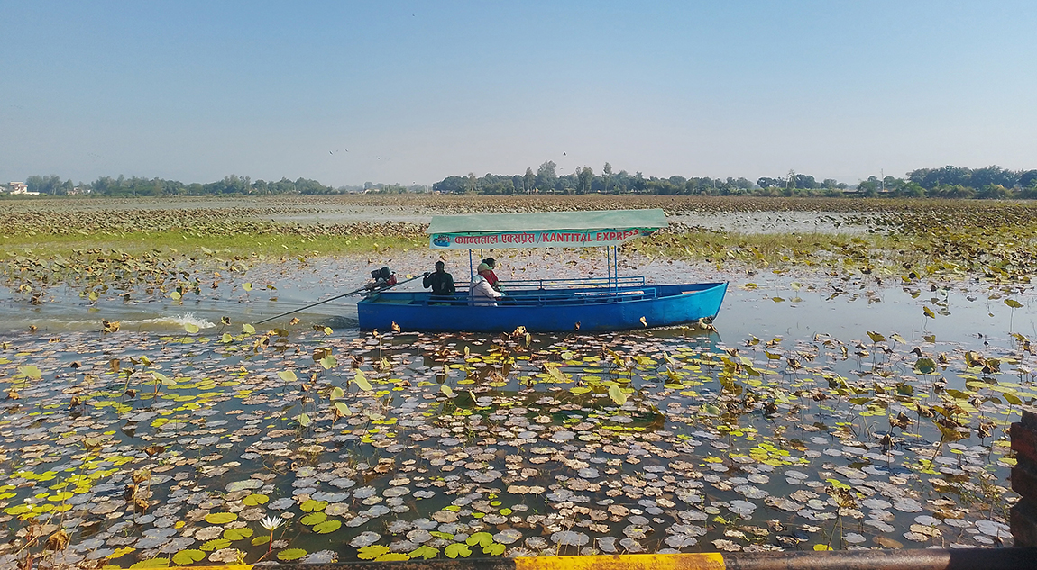आजका तस्बिर- मंसिर २