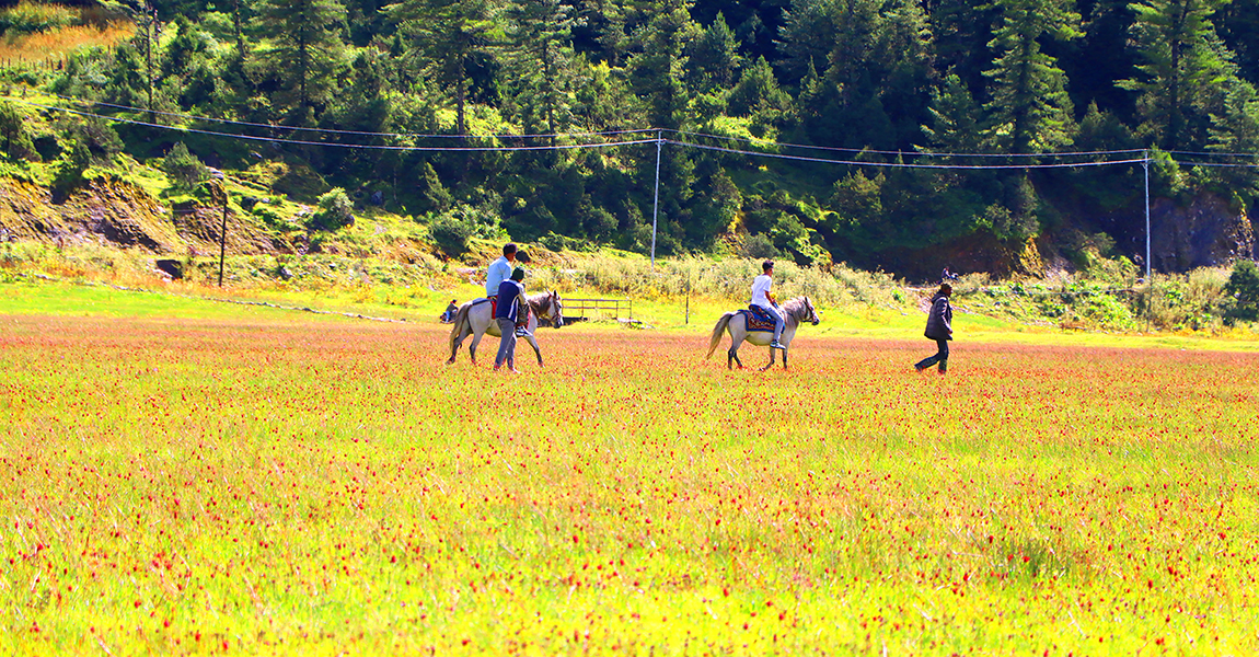आजका तस्बिर- भदौ १३