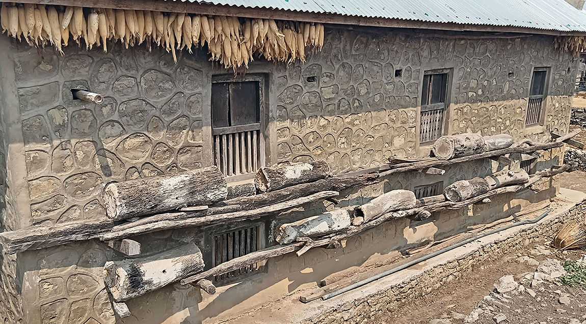 आजका तस्बिर- असार ४