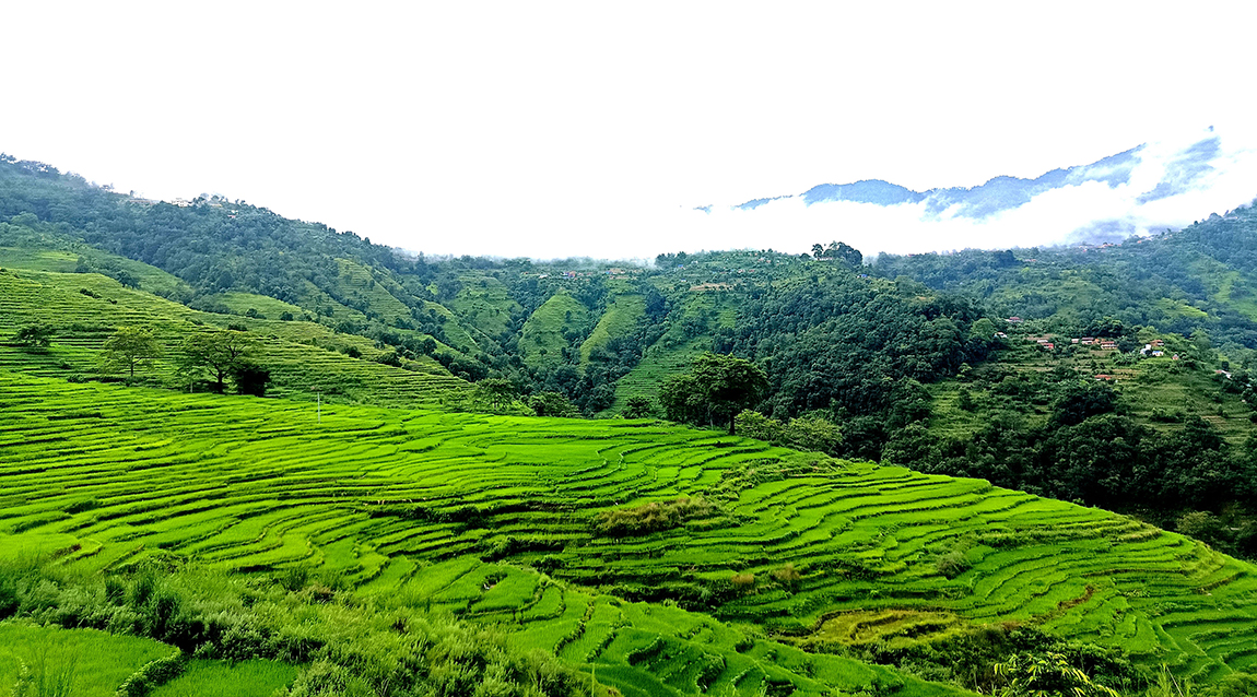 आजका तस्बिर-साउन ३०