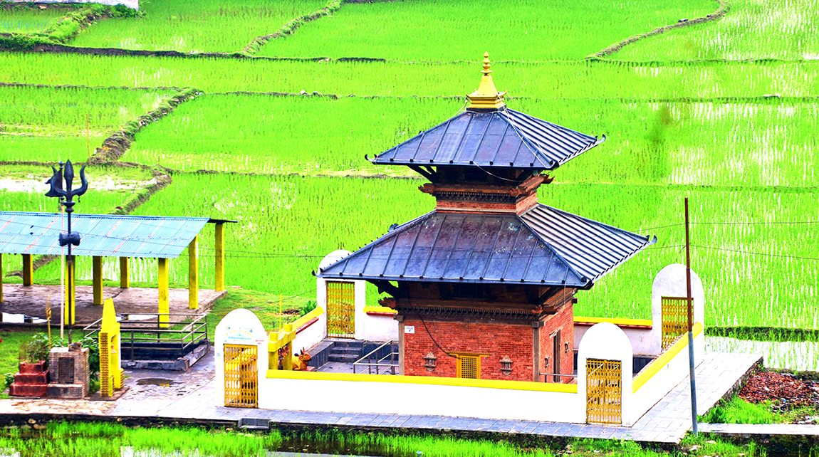 आजका तस्बिर- चैत २८