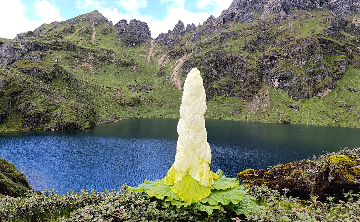 आजका तस्बिर- साउन २८