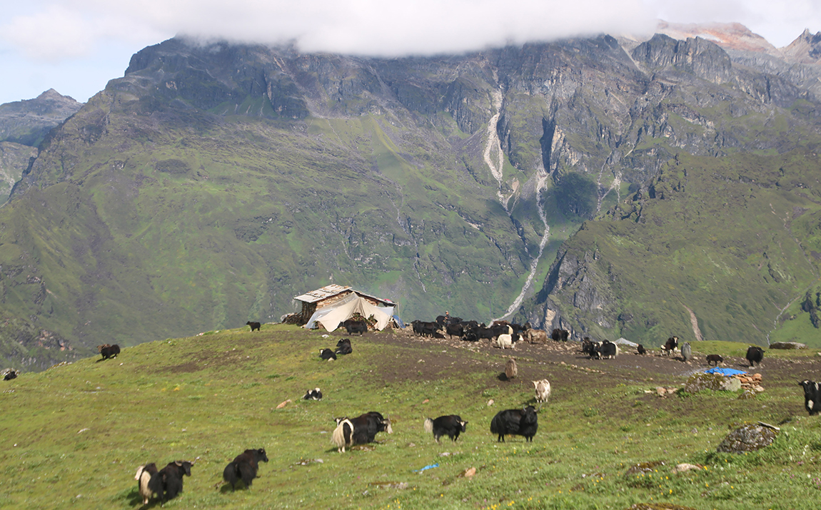 आजका तस्बिर- साउन १९