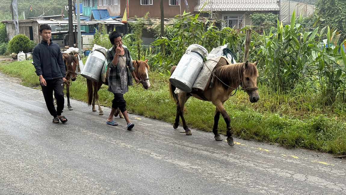 आजका तस्बिर- साउन २०