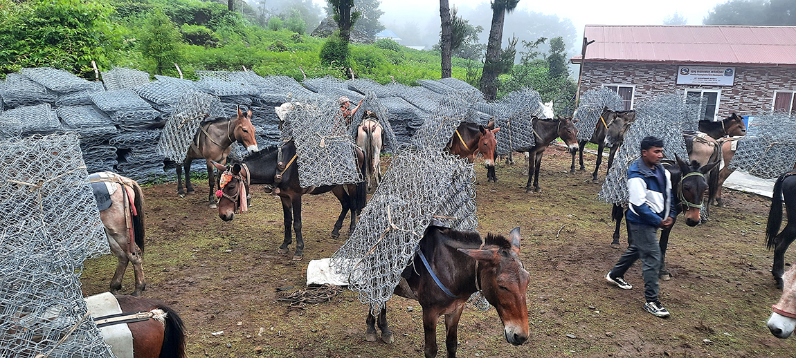 आजका तस्बिर- असोज ४