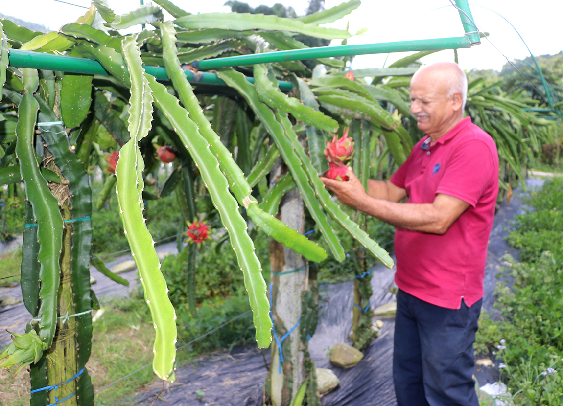 आजका तस्बिर-भदौ ४