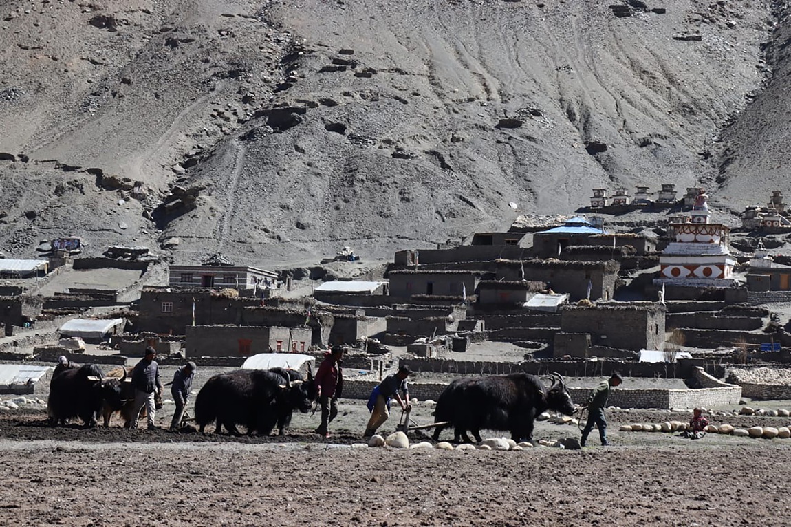 आजका तस्बिर- जेठ ४