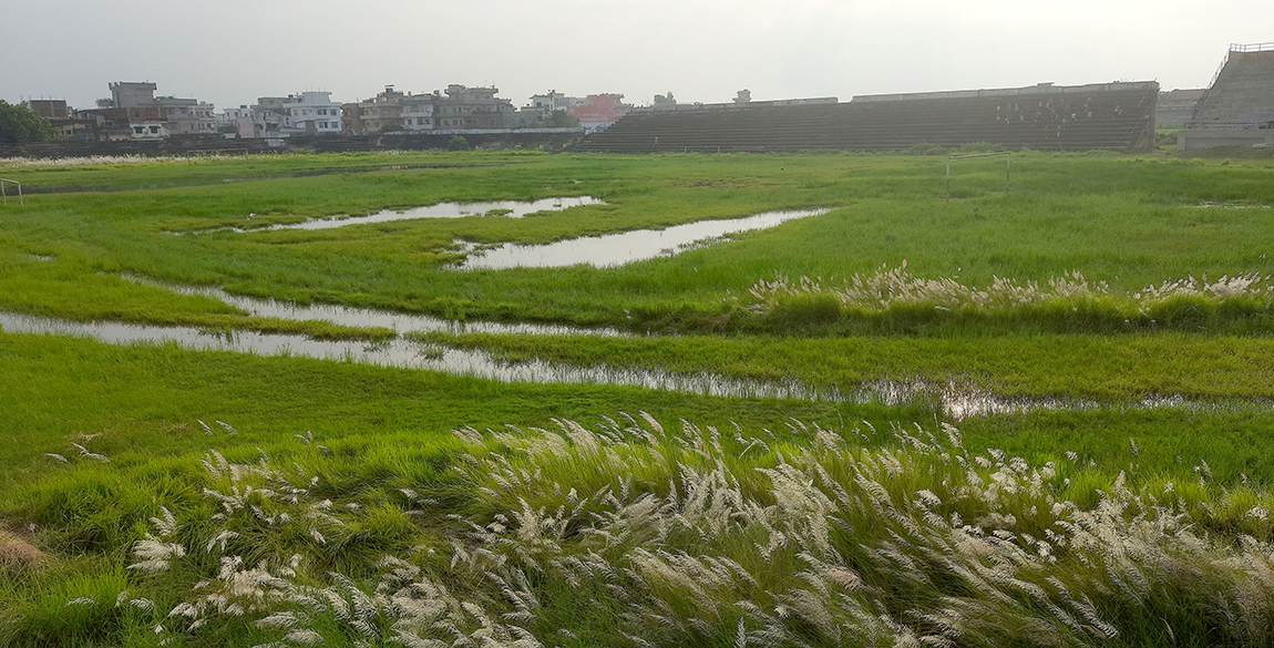 आजका तस्बिर- भदौ २६