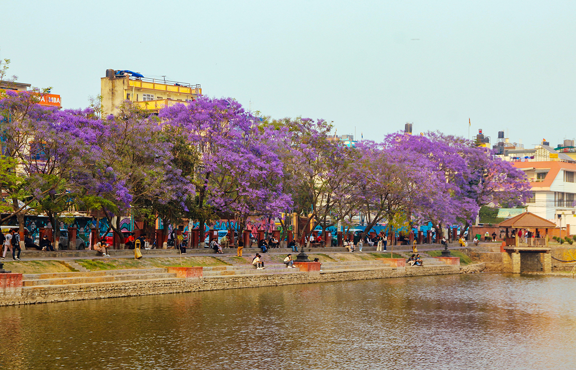 आजका तस्बिर- वैशाख १५