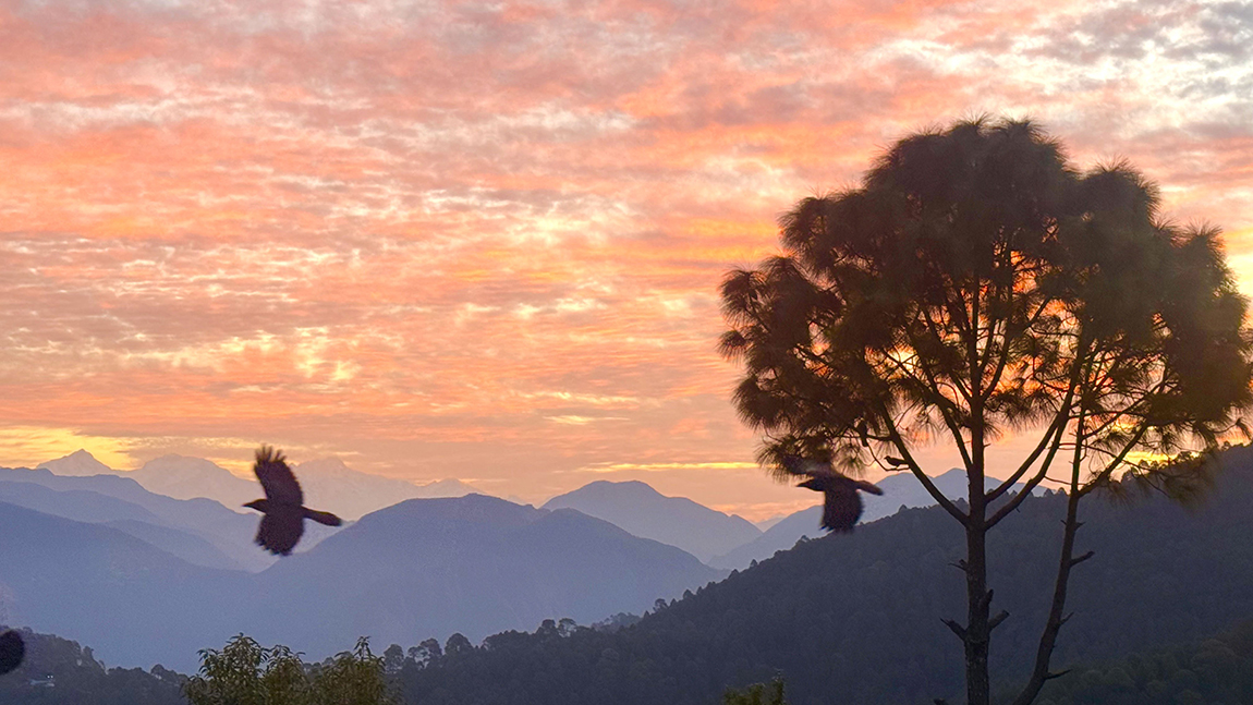 आजका तस्बिर- मंसिर ११