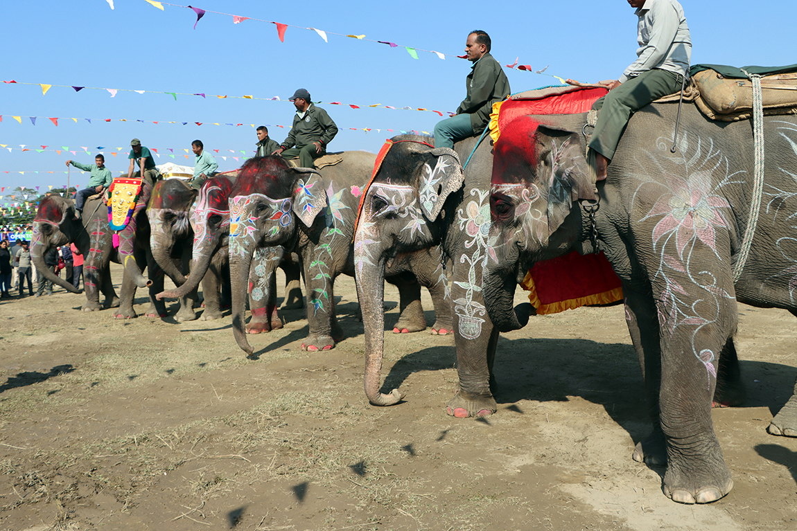 आजका तस्बिर- पुस ११