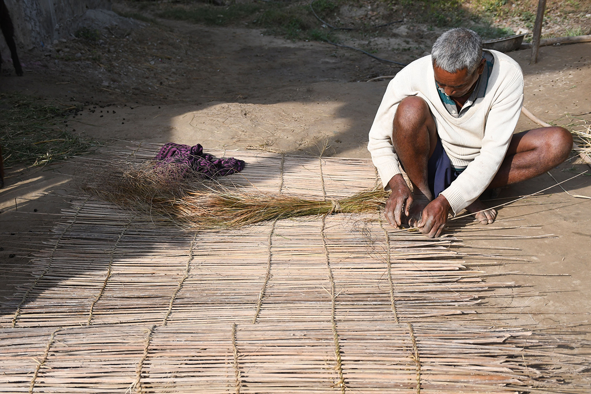 आजका तस्बिर- पुस ११