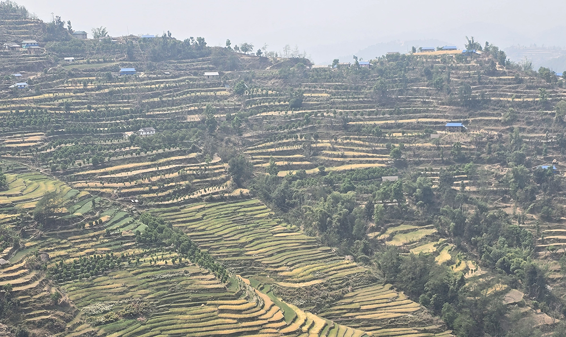 आजका तस्बिर- चैत २५