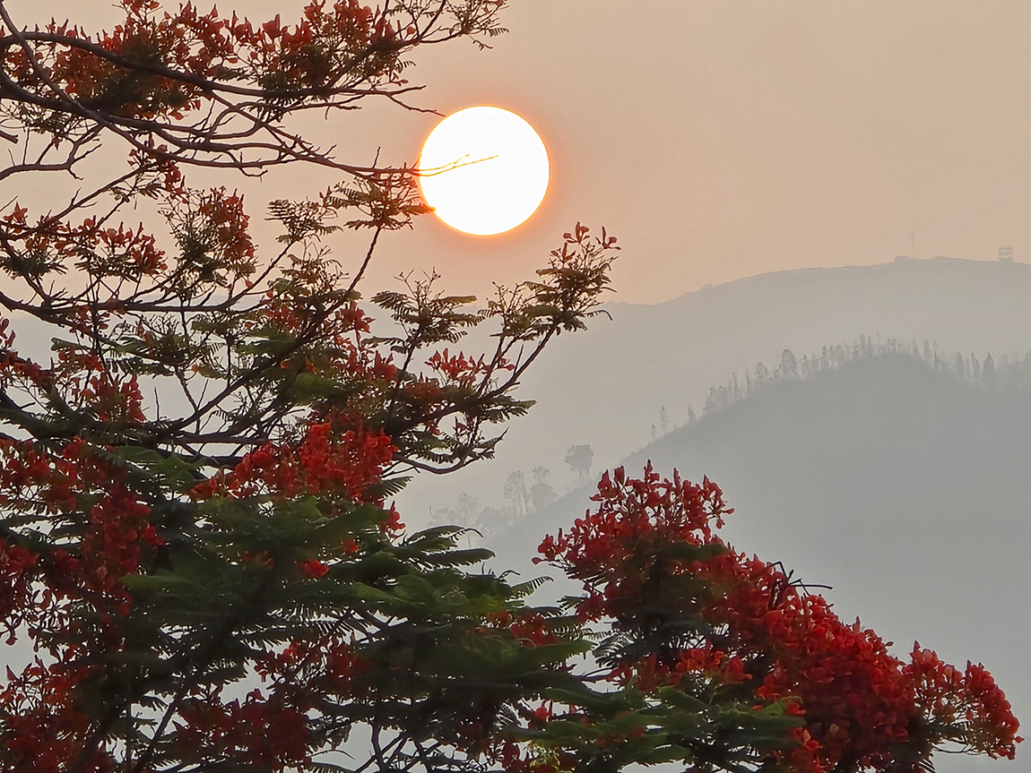 आजका तस्बिर- जेठ १४