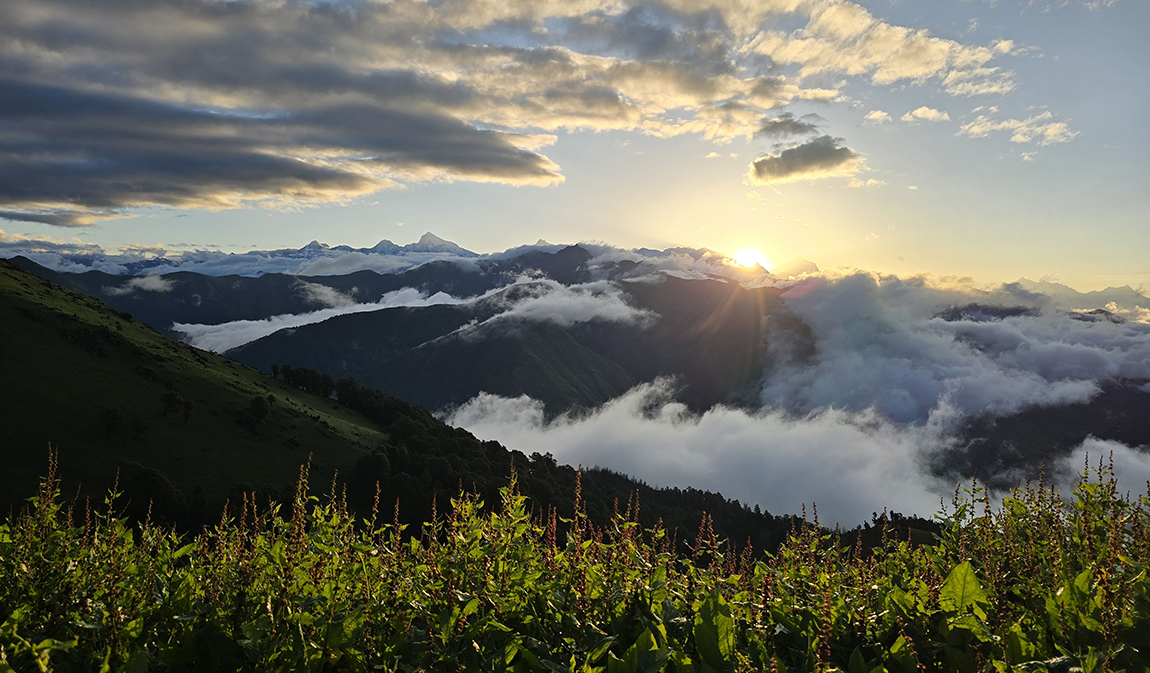 आजका तस्बिर-असार २४