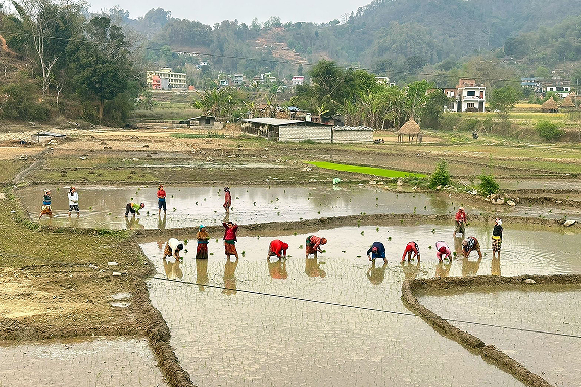 आजका तस्बिर- चैत ९