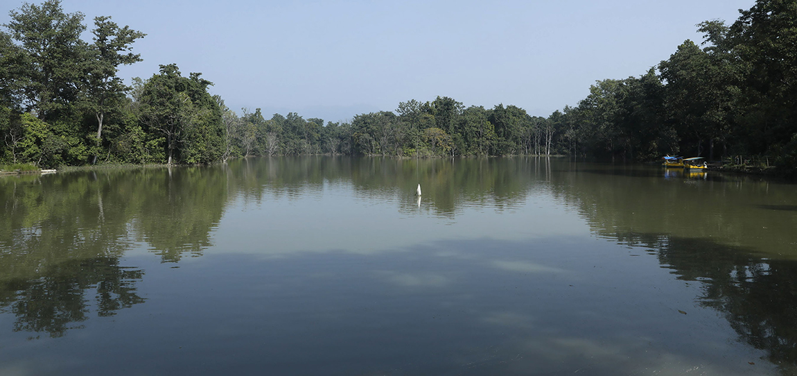 आजका तस्बिर- मंसिर ५