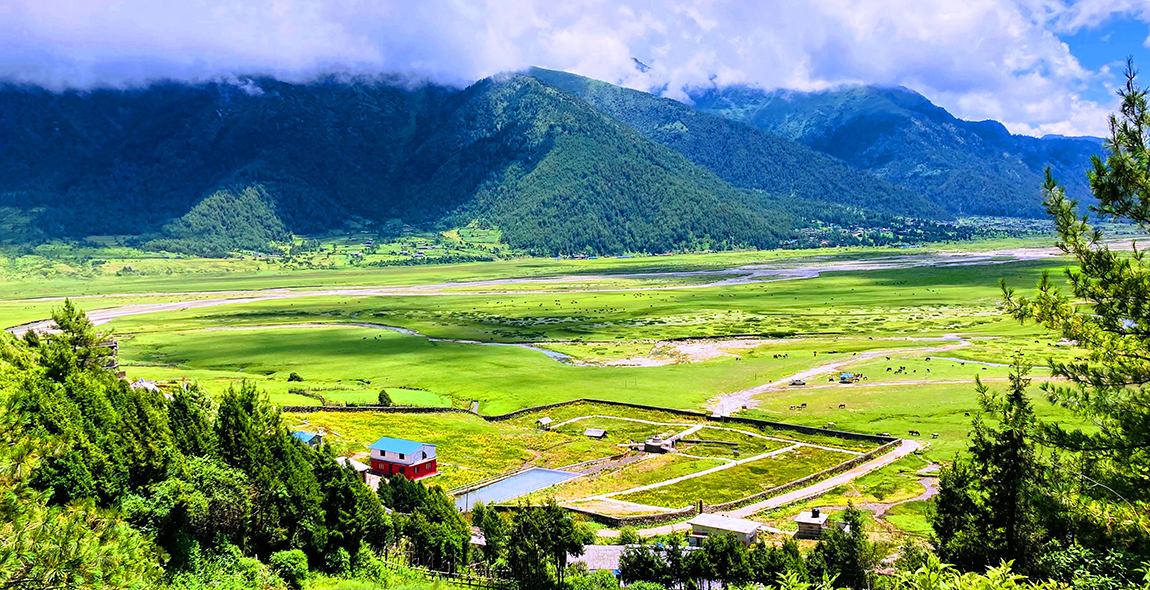 आजका तस्बिर- साउन ५