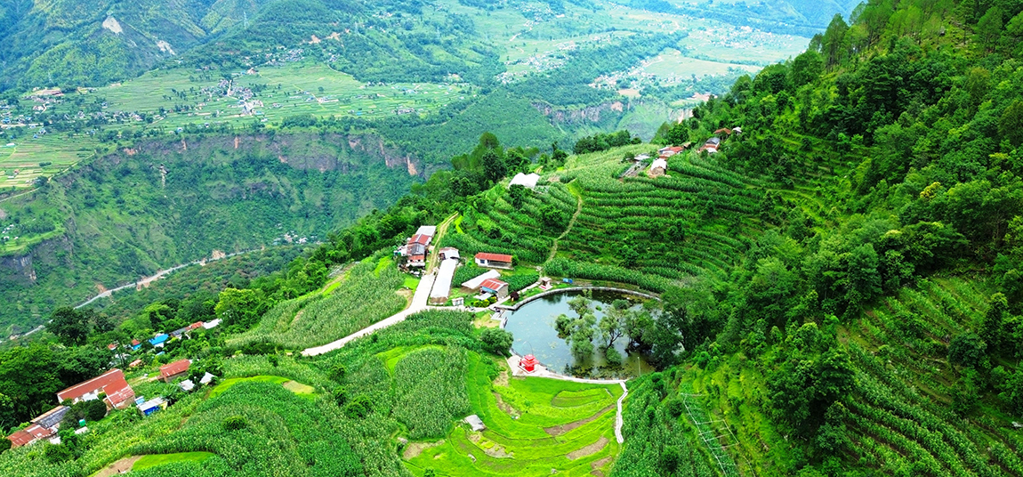 आजका तस्बिर- असार २२