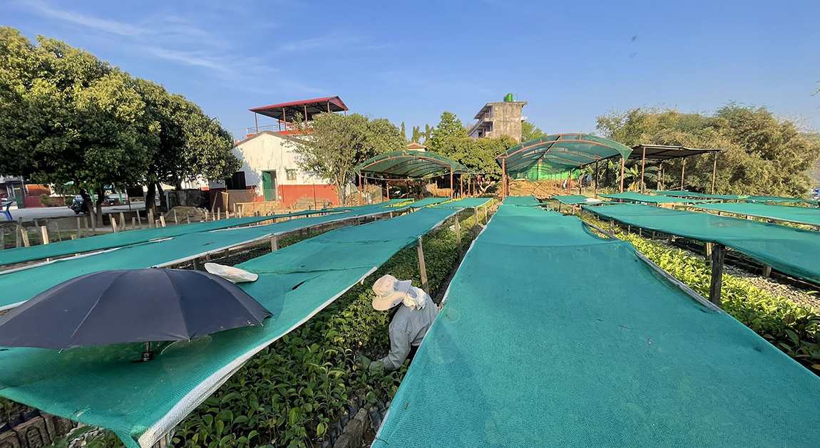 आजका तस्बिर- चैत १२