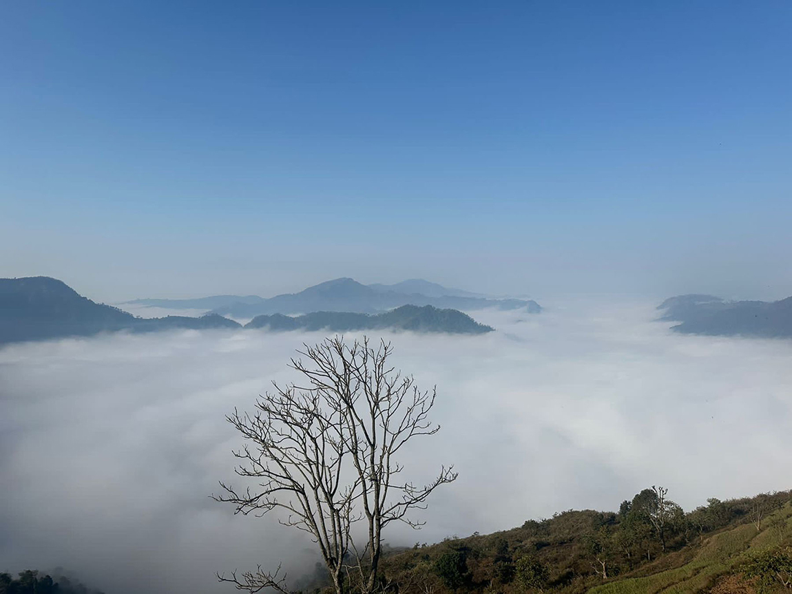 आजका तस्बिर- पुस १२