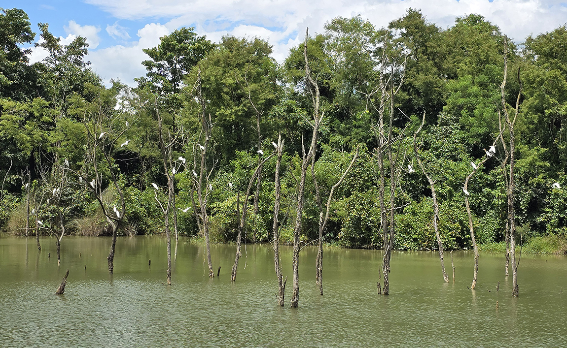 आजका तस्बिर- भदौ १७